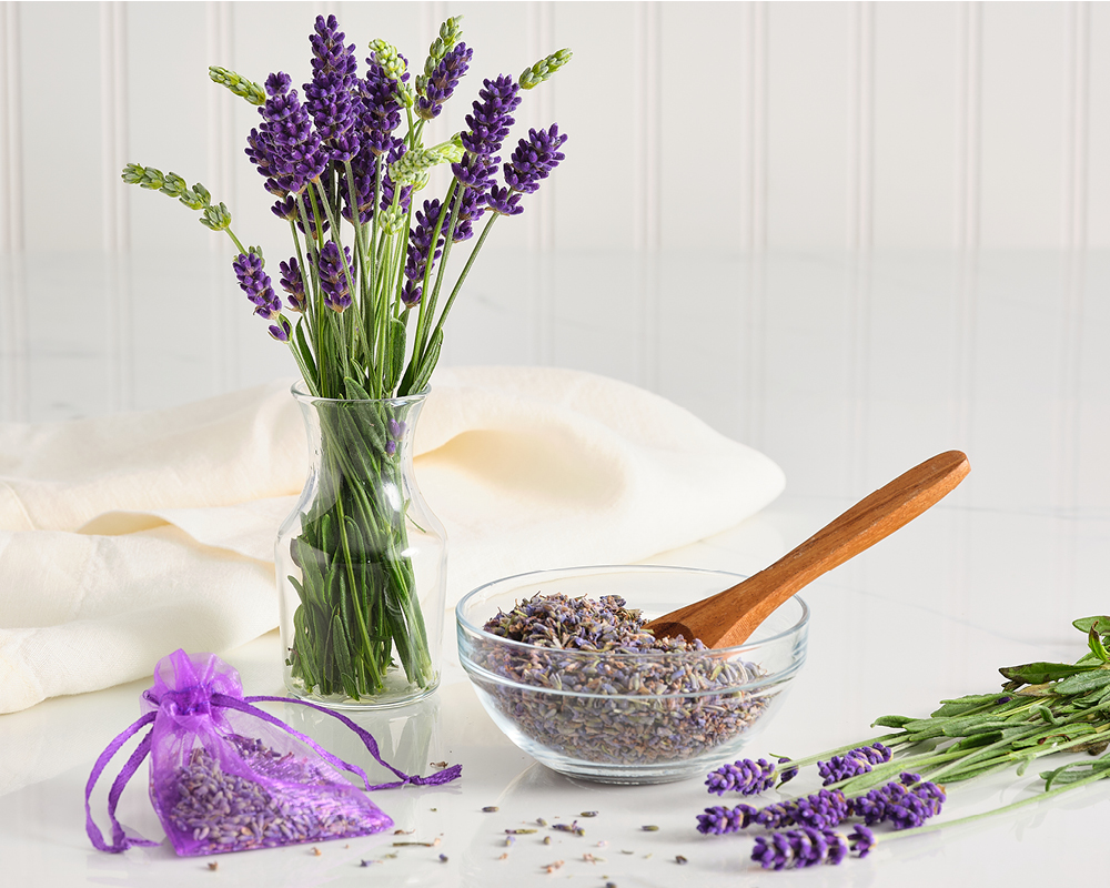 Lavender flowers, dried buds, and purple sachet