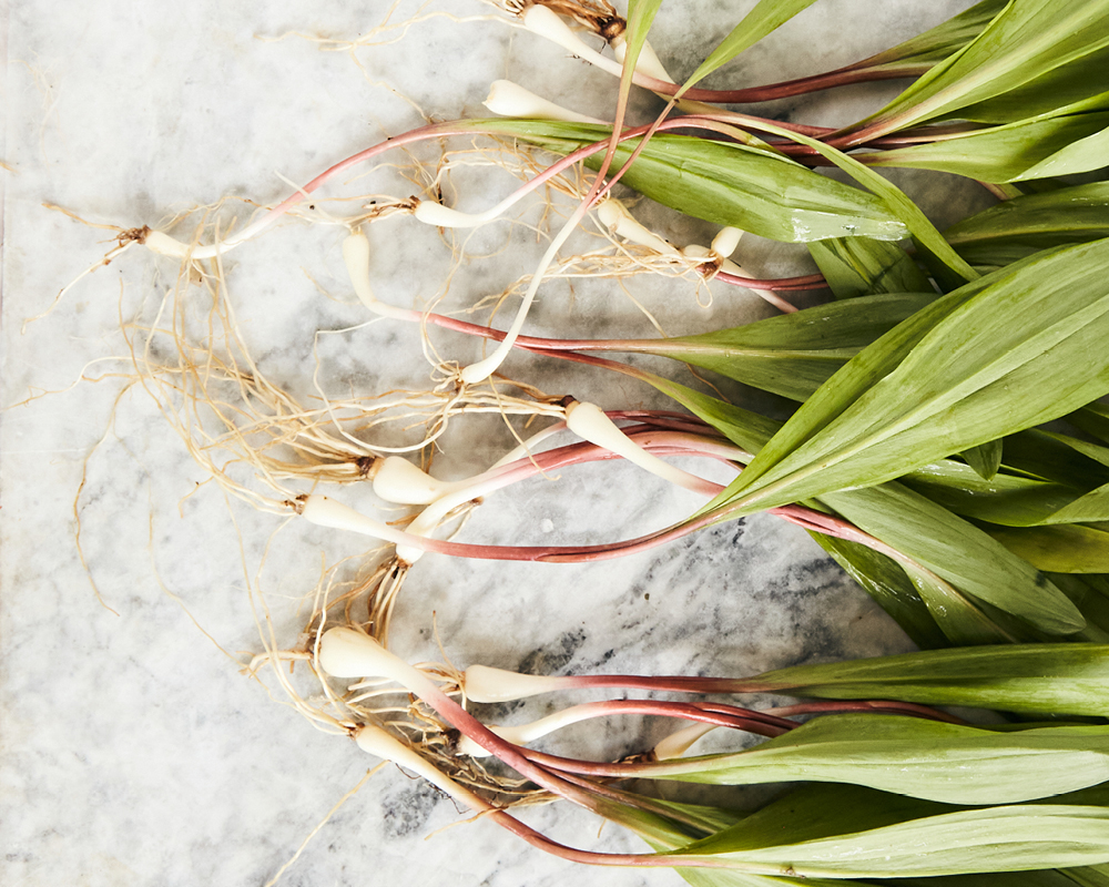 Ramps on granite background
