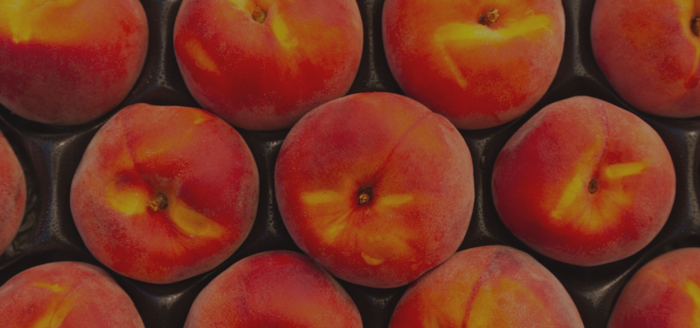 An Assortment of Peach-O-Rama Peaches